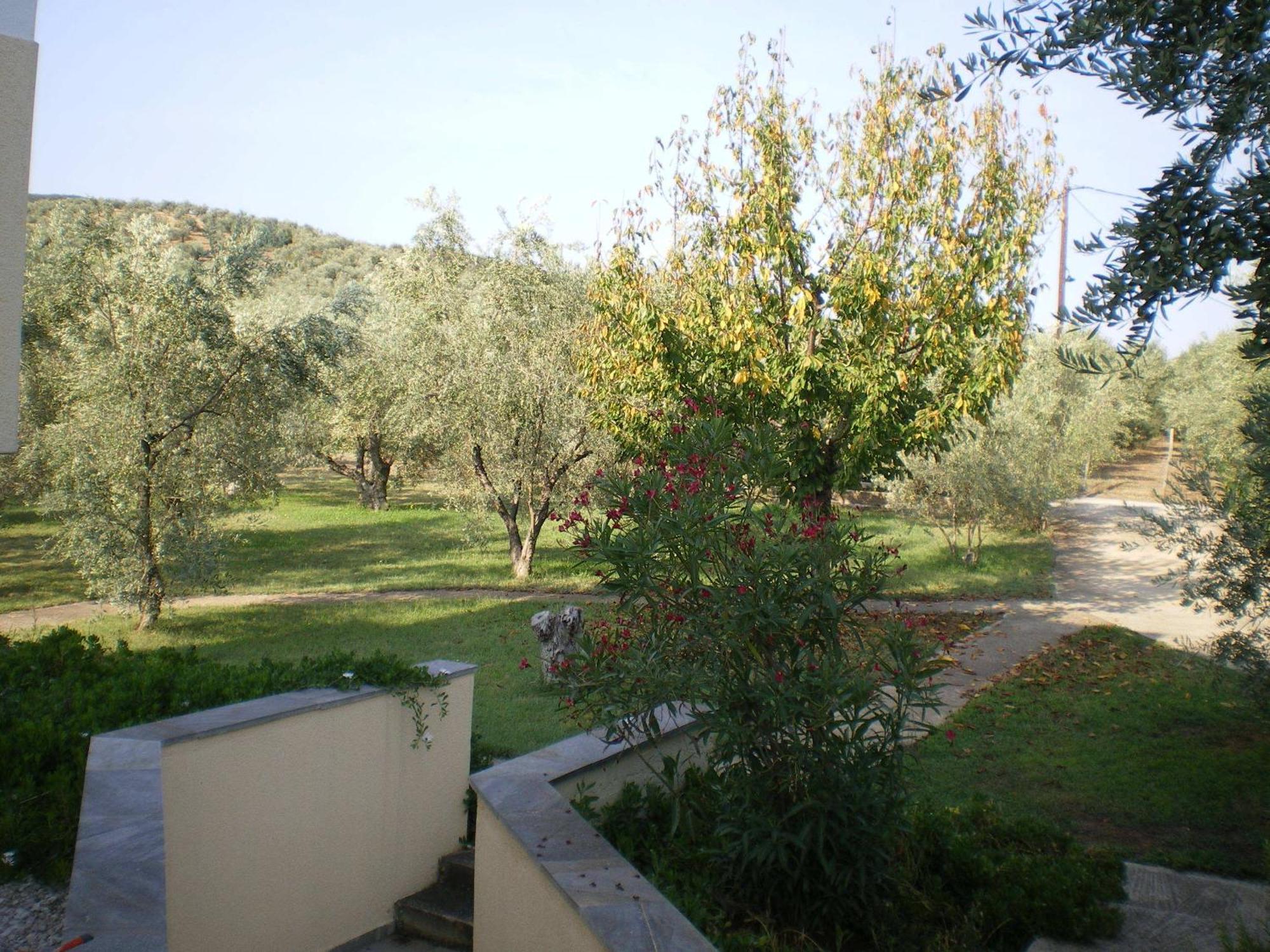 אמליאפולי Villa Christina מראה חיצוני תמונה